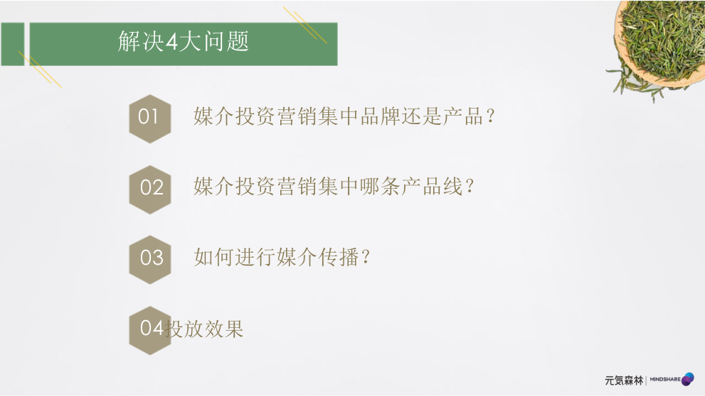 元气森林森林媒介投资规划食品饮料 社交媒体传播 种草带货.pptx_第2页