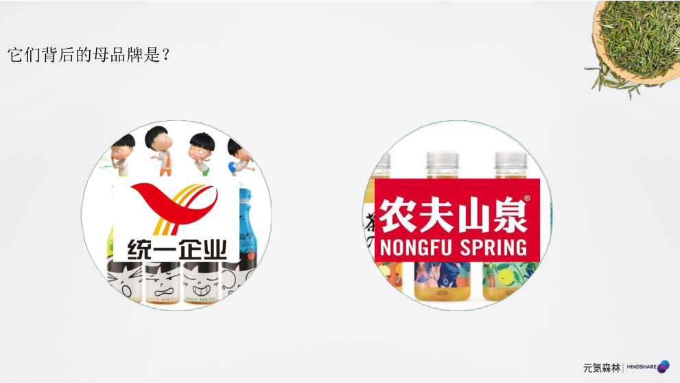 元气森林森林媒介投资规划食品饮料 社交媒体传播 种草带货.pptx_第7页