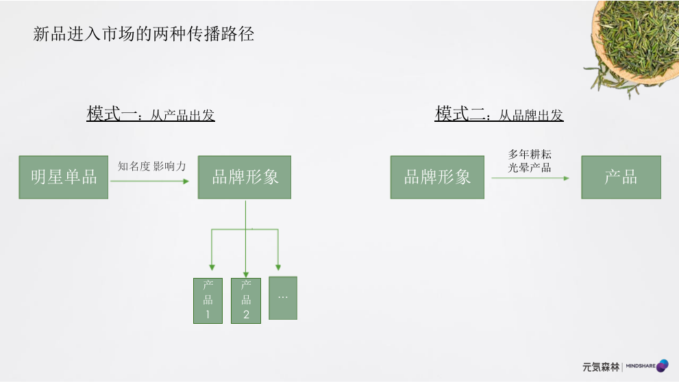 元气森林森林媒介投资规划食品饮料 社交媒体传播 种草带货.pptx_第9页