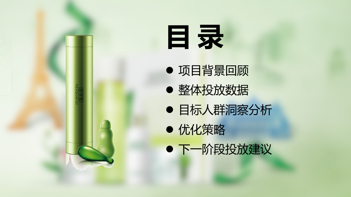 佰草集品友DSP投放项目结案报告.pptx_第2页