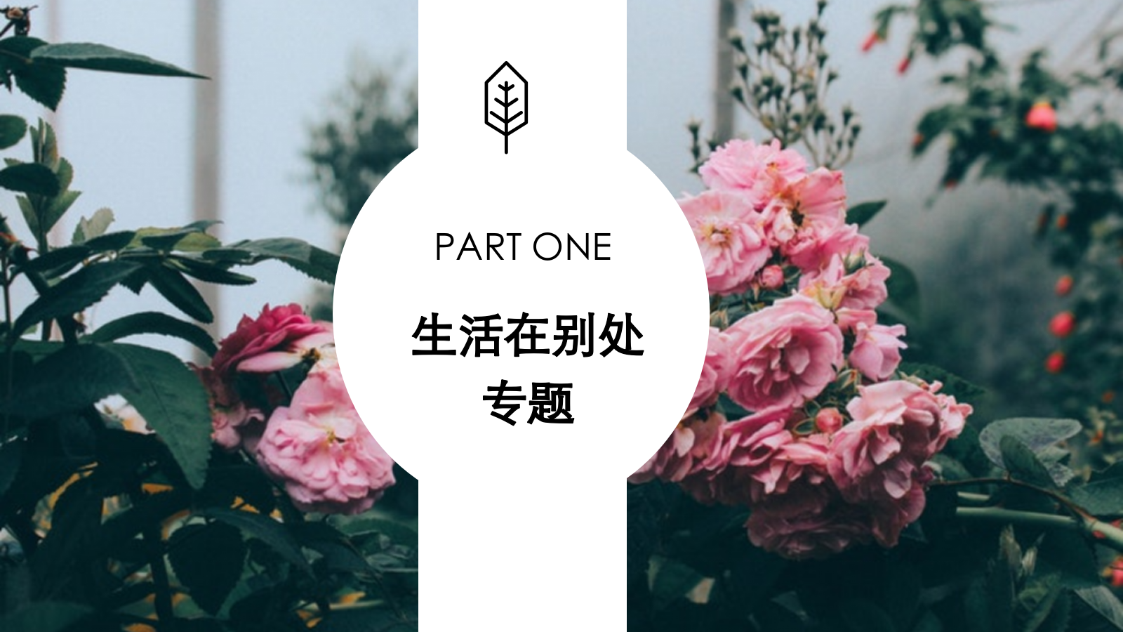 2018-玛丝菲尔XLOHAS媒体策划案-15P.pptx_第5页