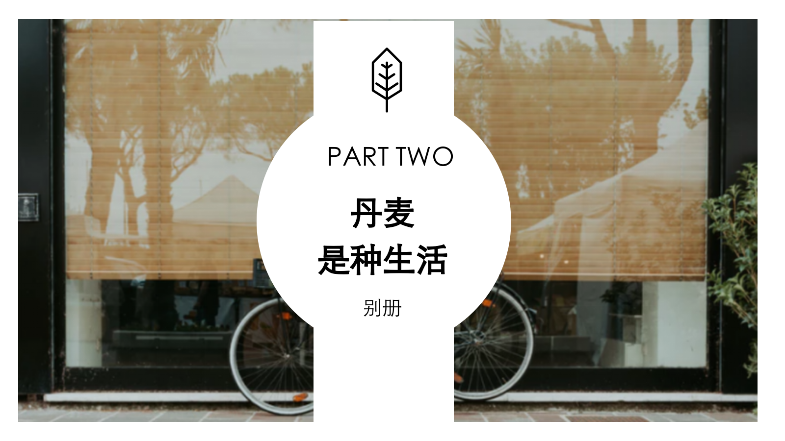 2018-玛丝菲尔XLOHAS媒体策划案-15P.pptx_第8页