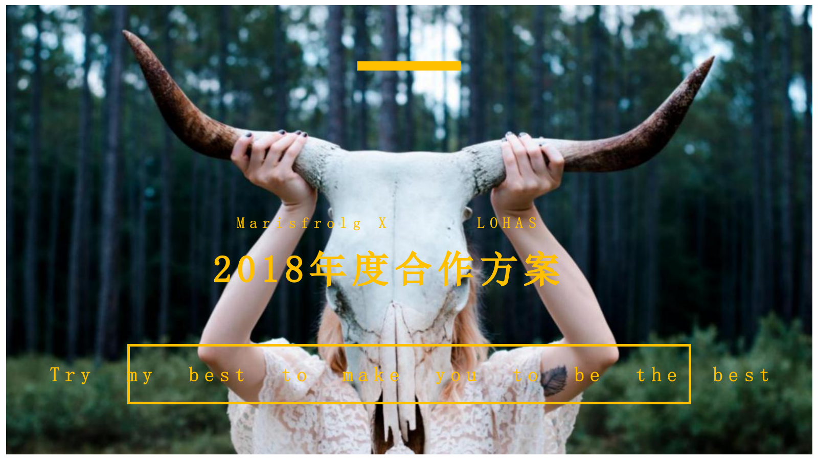 2018-玛丝菲尔XLOHAS媒体策划案-15P.pptx