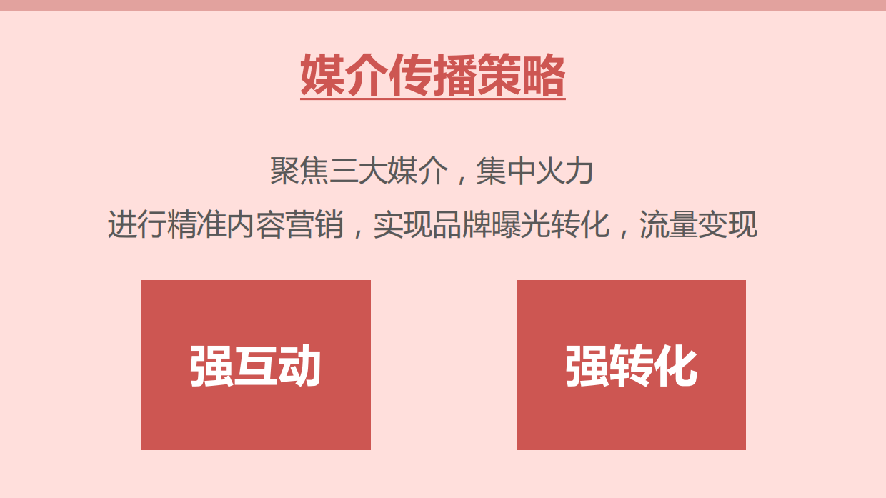 2019-韩菲诗2019年7月媒介策划案-36页.pdf_第5页