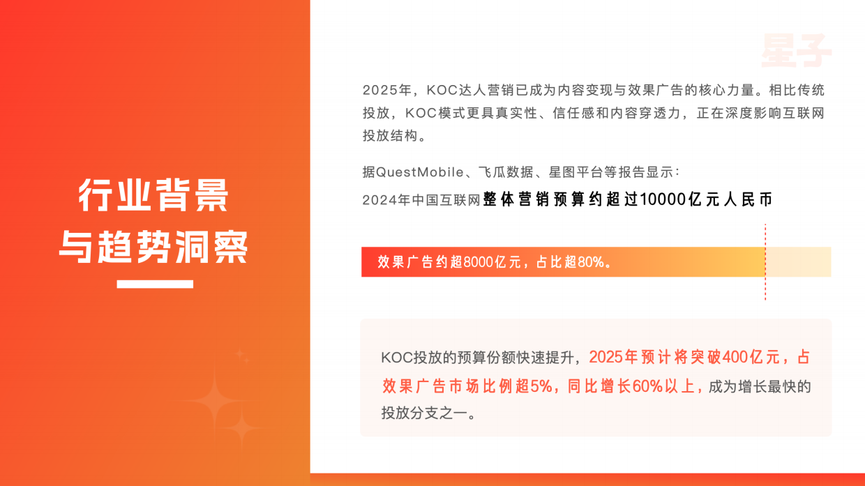 2025年KOC达人推广行业白皮书.pdf_第2页