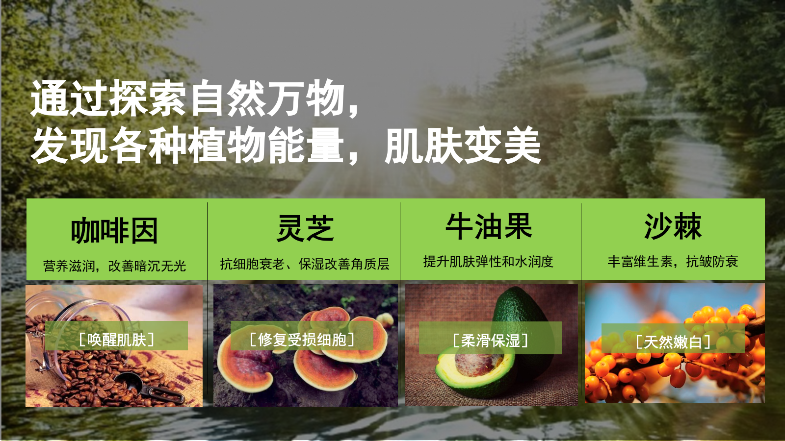 悦木之源韦博士Origins灵芝焕能精华水品牌传播案.pptx_第10页