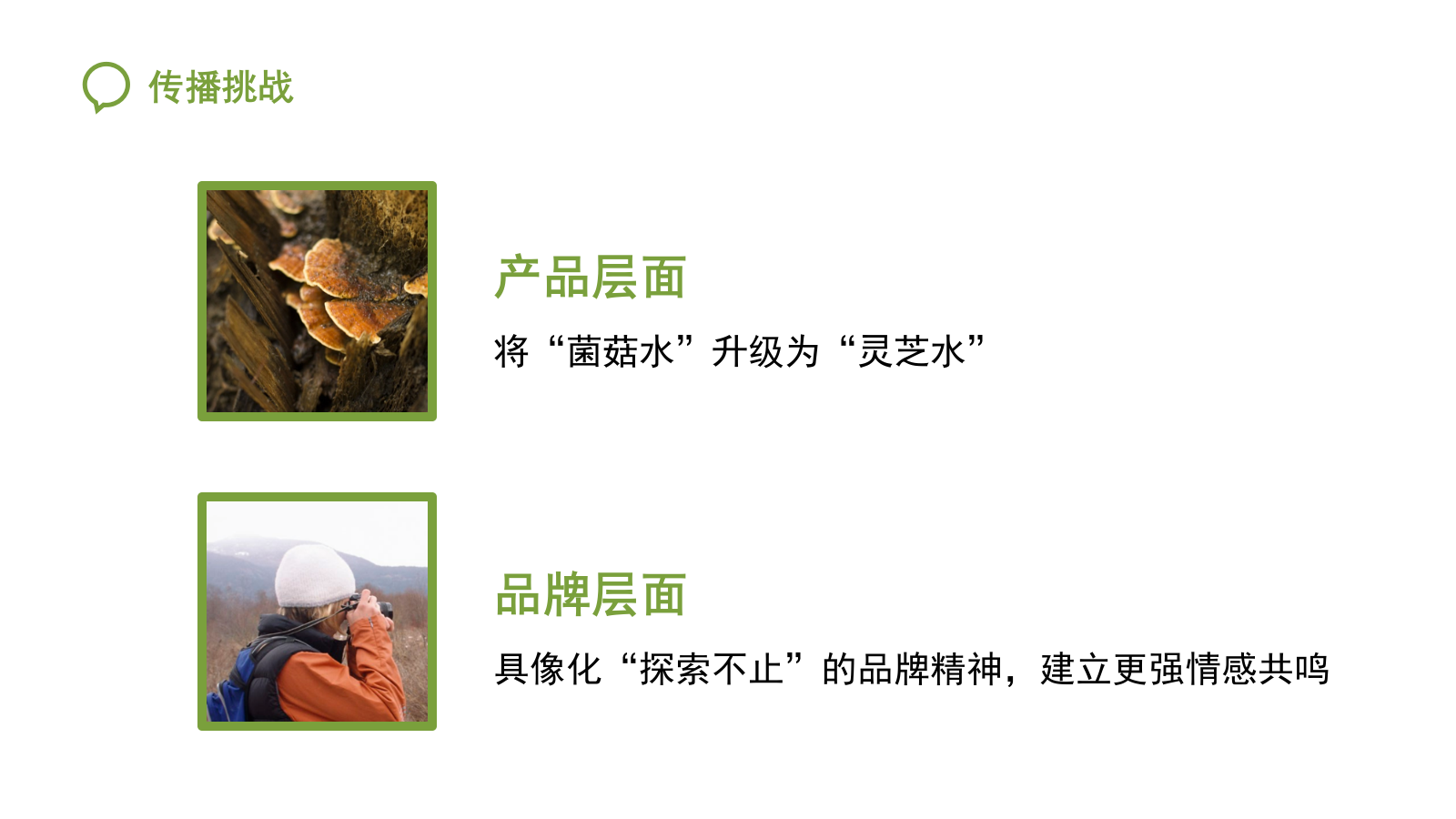 悦木之源韦博士Origins灵芝焕能精华水品牌传播案.pptx_第6页