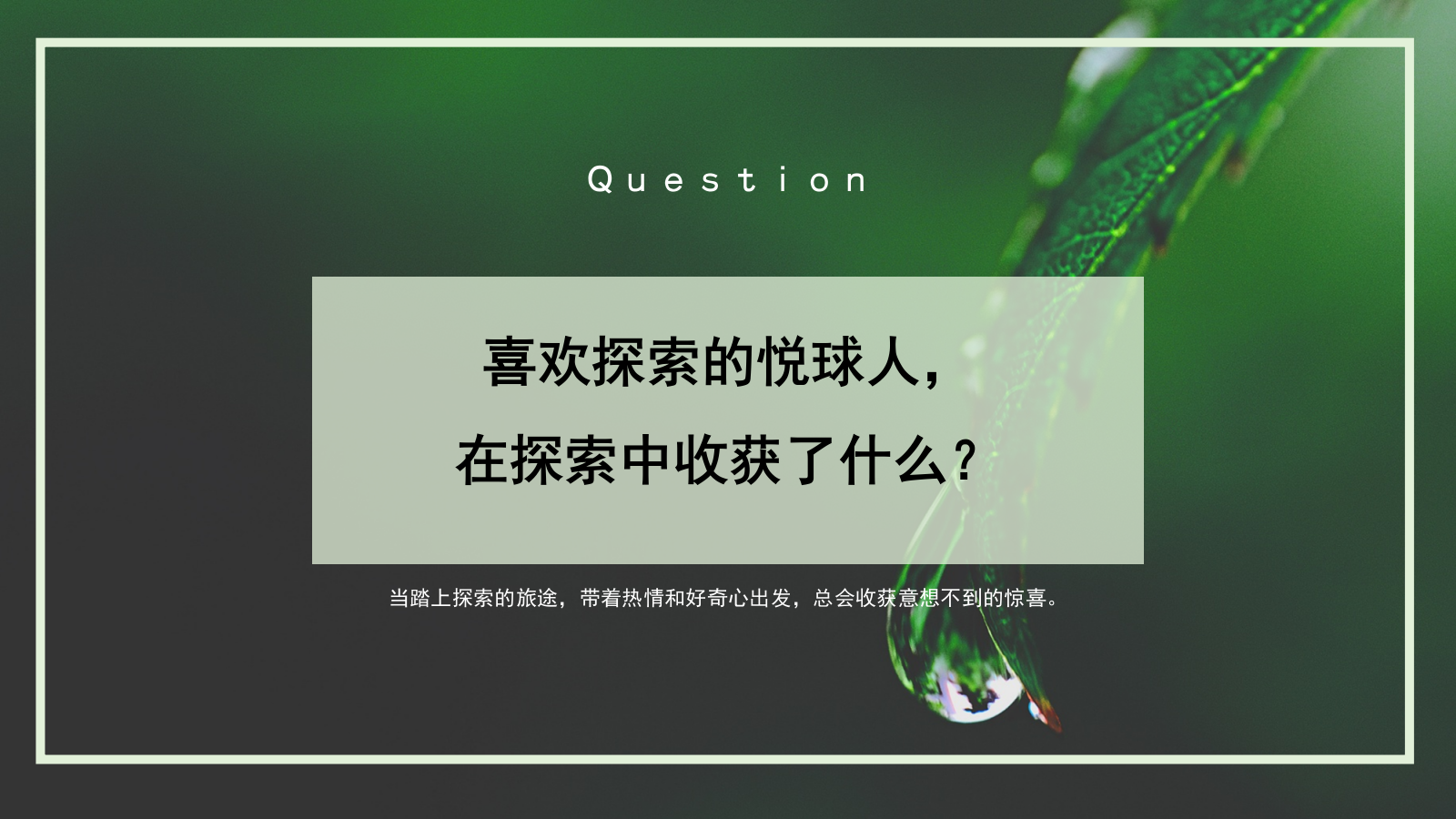 悦木之源韦博士Origins灵芝焕能精华水品牌传播案.pptx_第9页