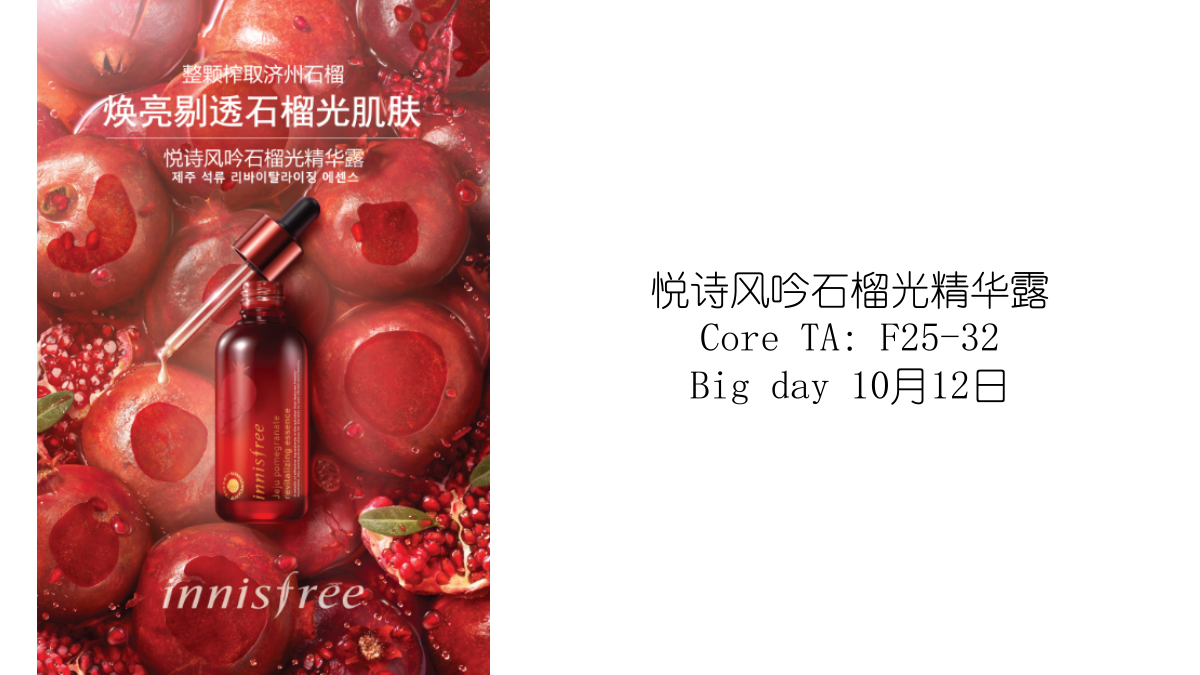 悦诗风吟合作推广方案.pptx_第2页