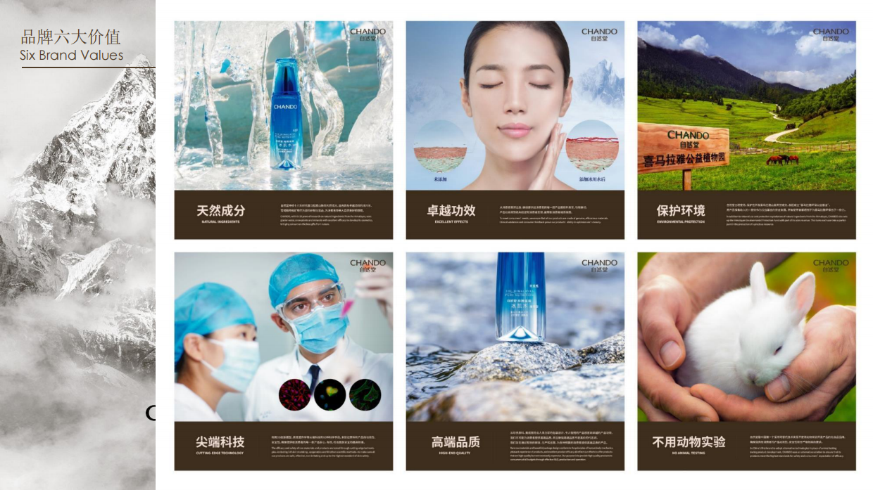 自然堂刷酸面膜-KOC种草brief.pdf_第8页