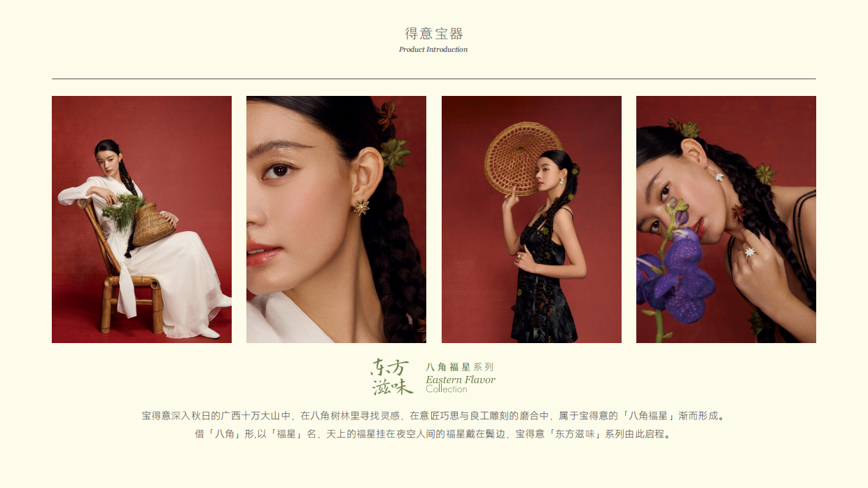 新锐网红珠宝品牌宝得意介绍.pdf_第10页