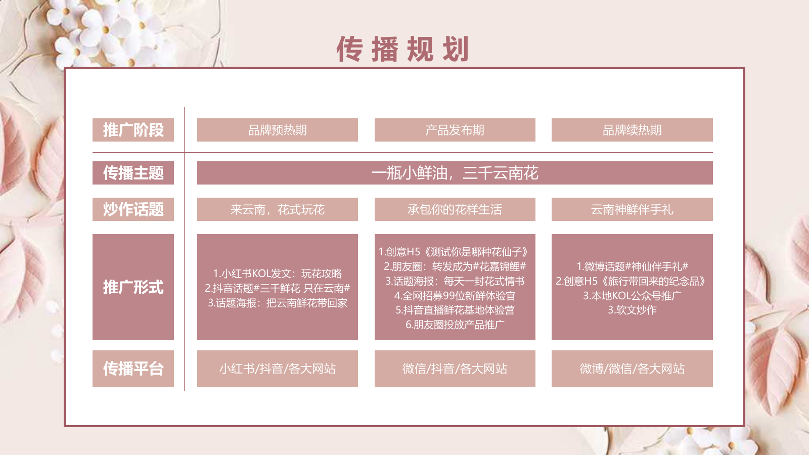 小鲜油新媒体推广方案.pptx_第2页
