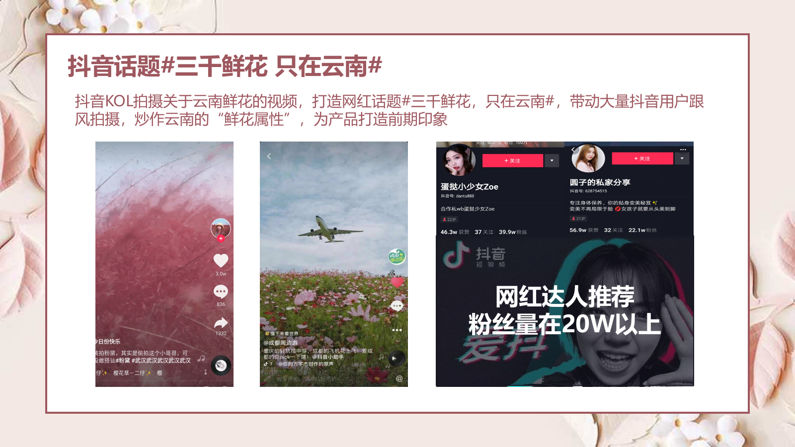 小鲜油新媒体推广方案.pptx_第6页