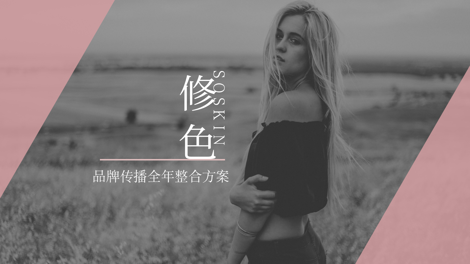 修色品牌传播全年整合方案.pptx_第1页