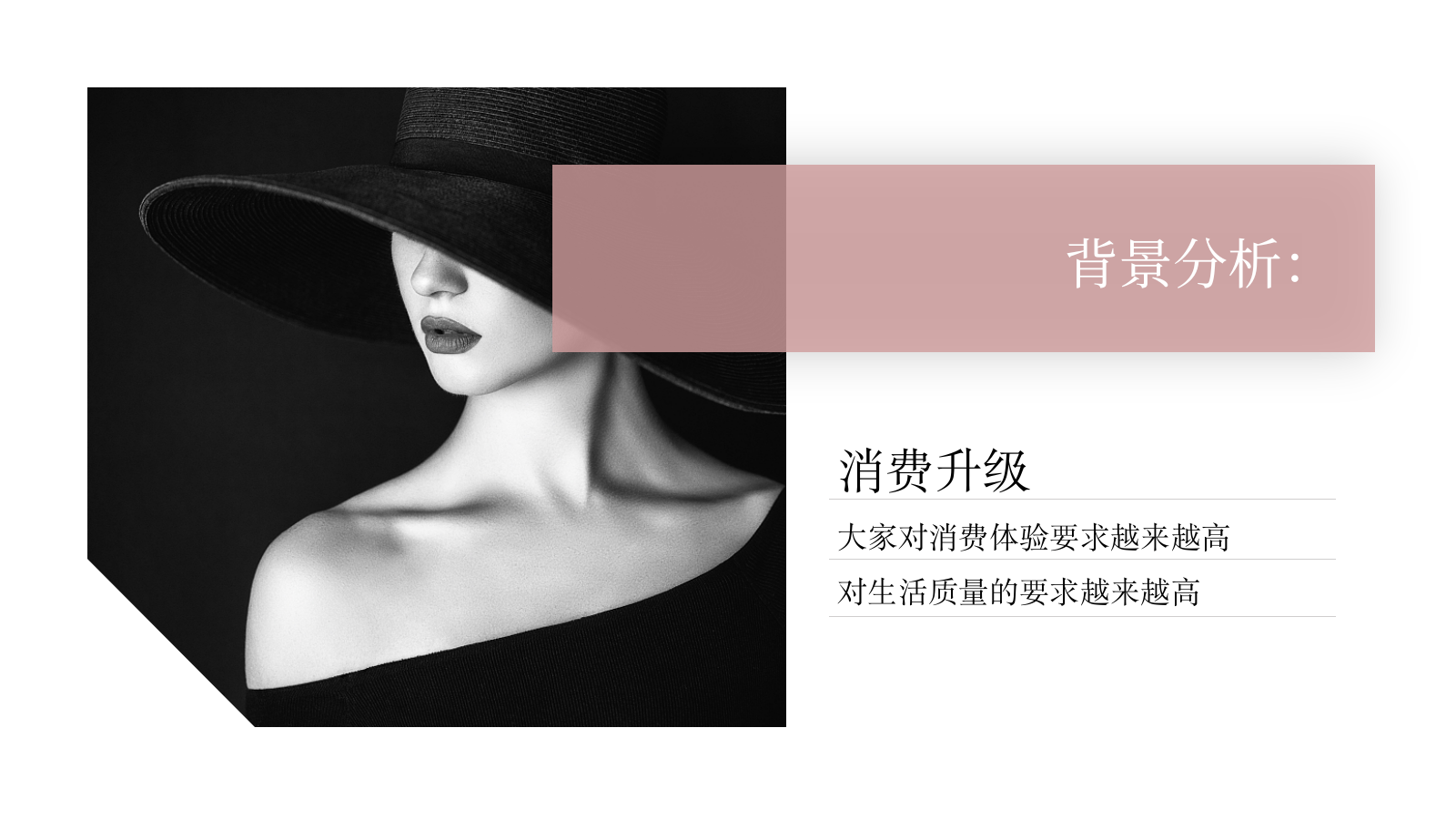 修色品牌传播全年整合方案.pptx_第2页