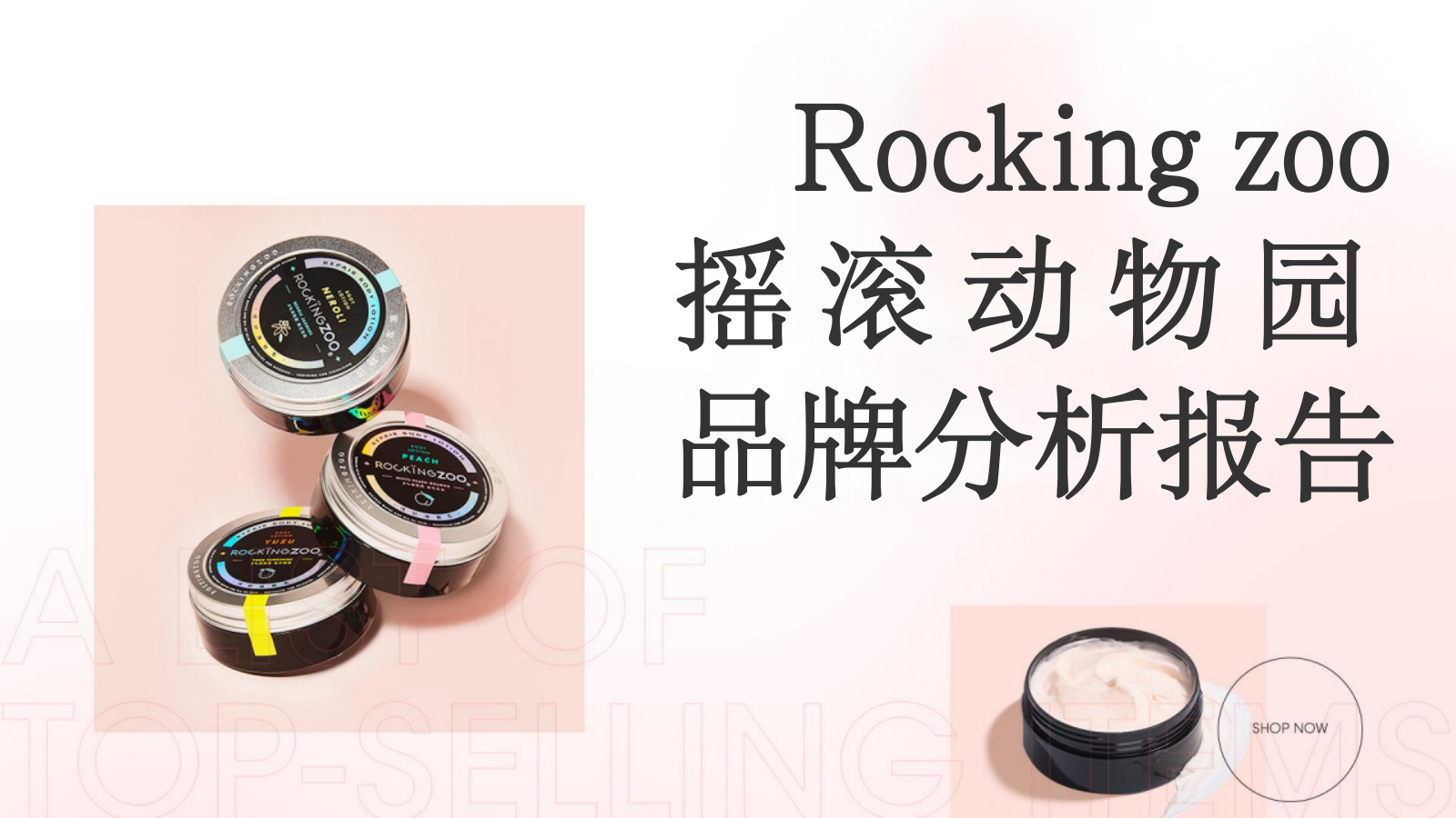 摇滚动物园品牌分析报告.pptx_第1页