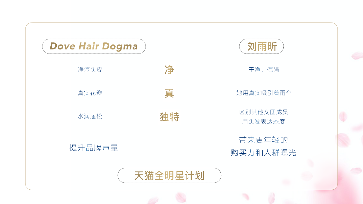 天猫全明星 Dove Hair x 刘雨昕粉丝营销方案.pdf_第4页