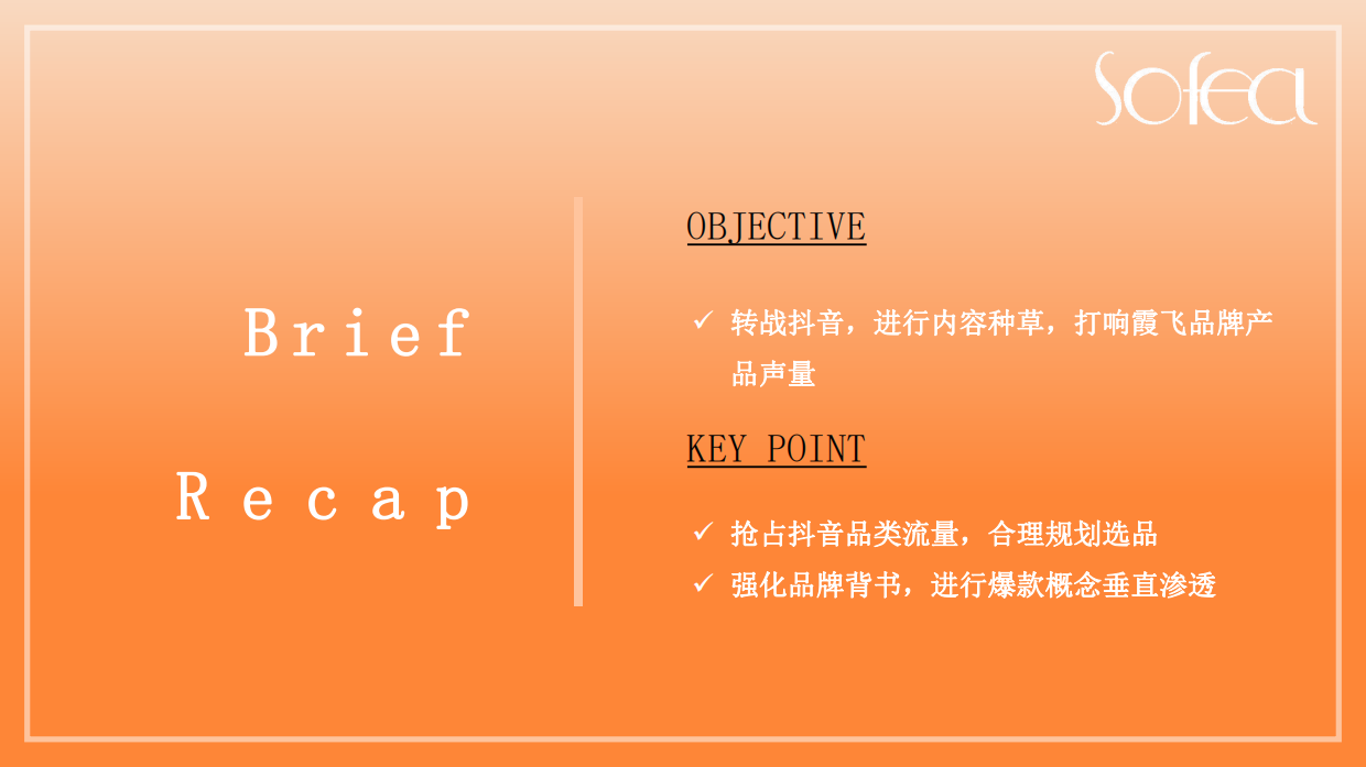 霞飞抖音推广方案外发版本.pdf_第2页