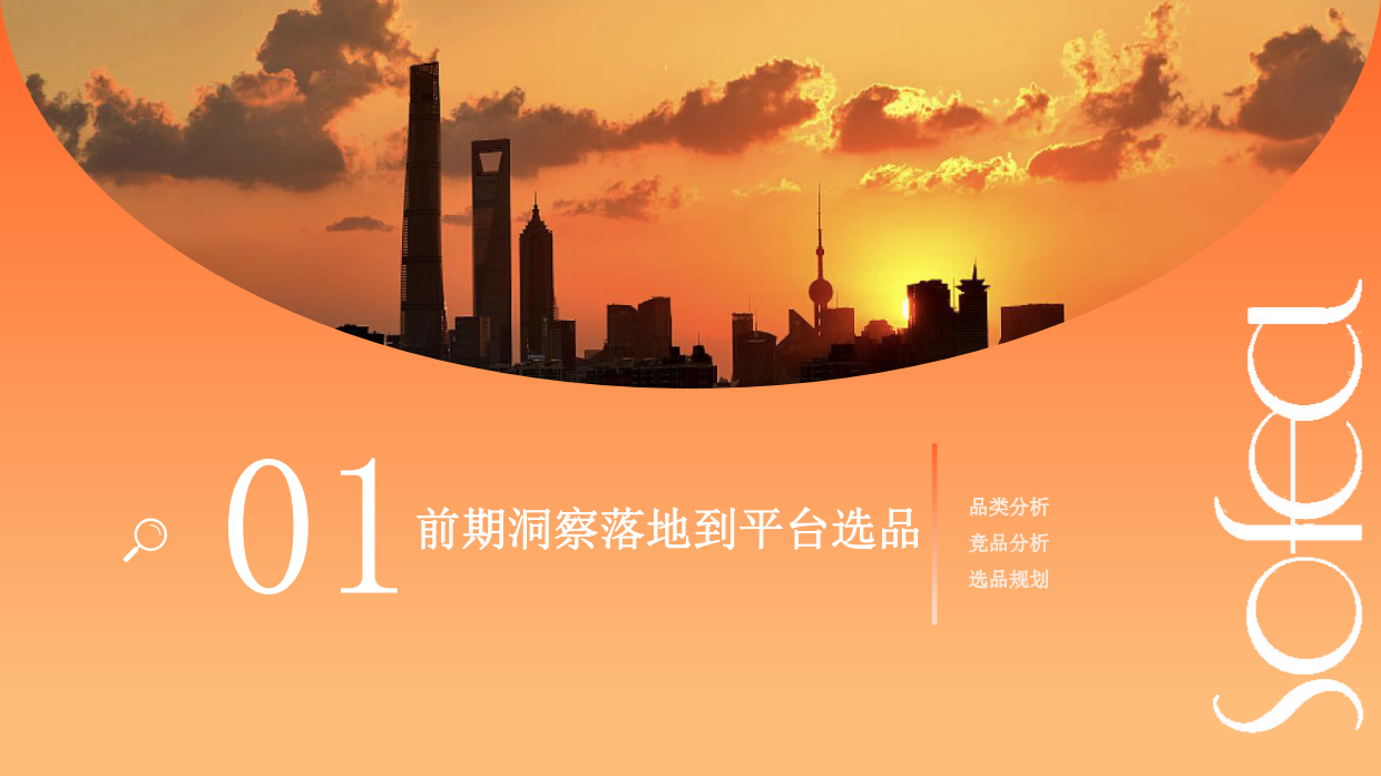 霞飞抖音推广方案外发版本.pdf_第4页