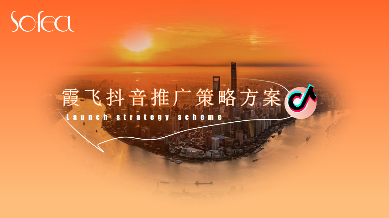 霞飞抖音推广方案外发版本.pdf