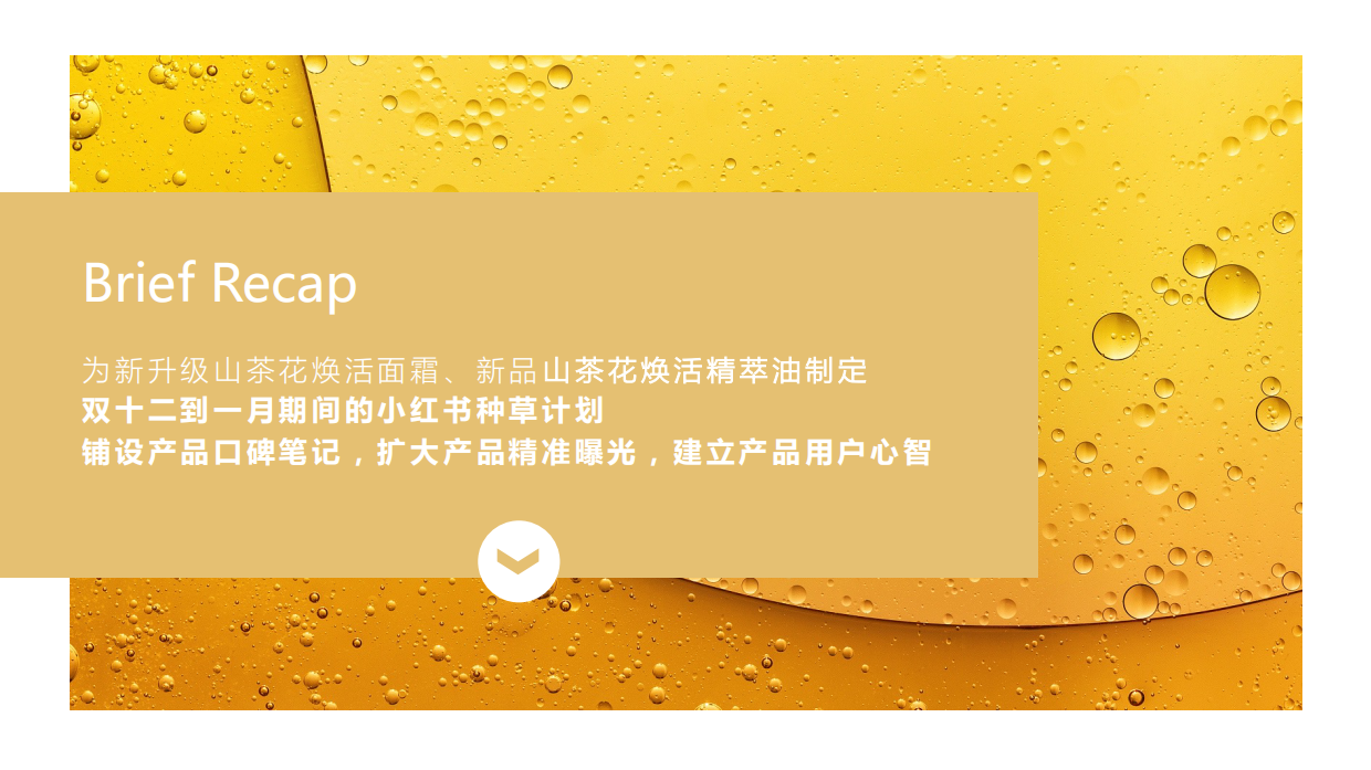 相宜本草双十一种草.pdf_第2页