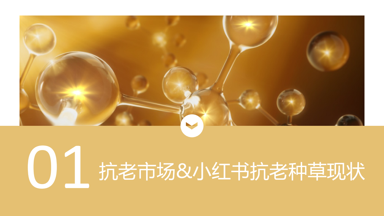 相宜本草双十一种草.pdf_第4页