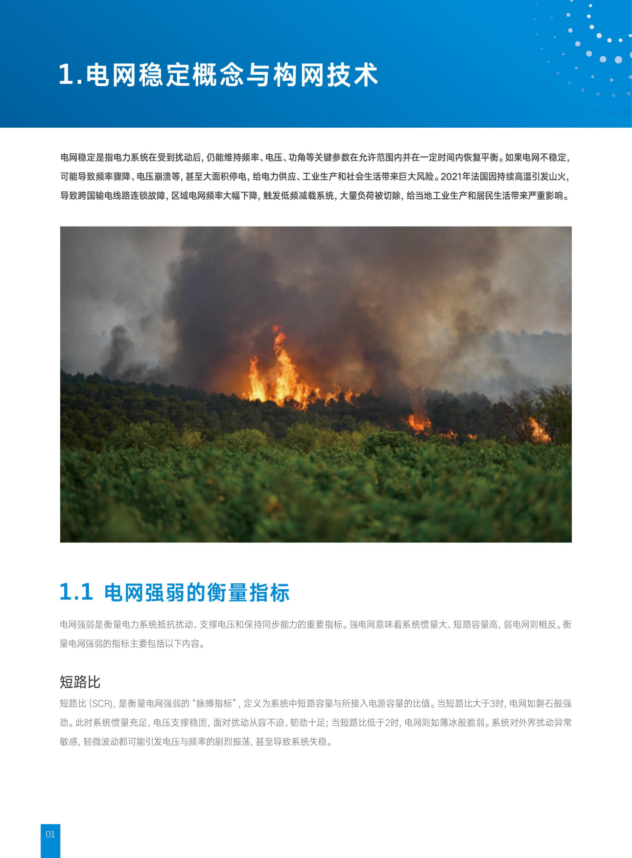 构网型储能系统白皮书：构网技术、概念与挑战、解决方案与项目案例-天合储能.pdf_第6页