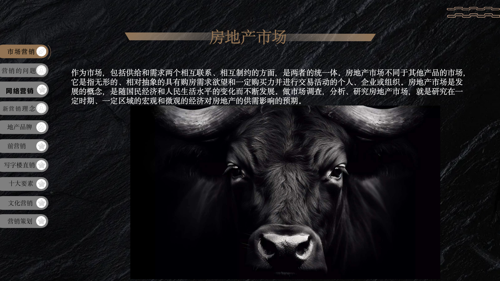 房地产项目开盘销售策略与营销方案.pptx_第2页