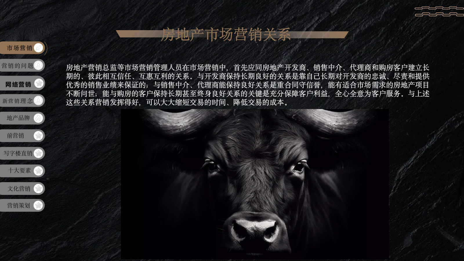 房地产项目开盘销售策略与营销方案.pptx_第4页