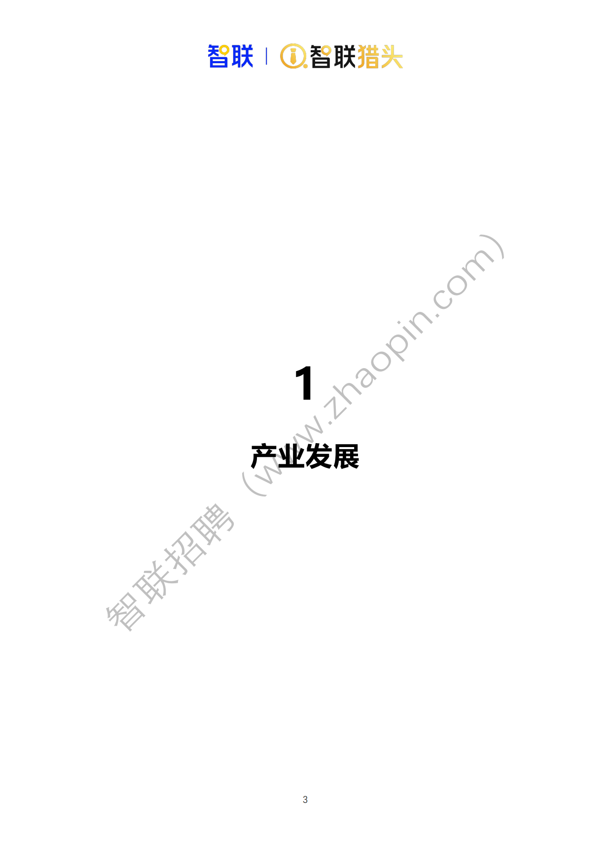 2026年中国具身智能机器人产业发展人才报告-智联猎头.pdf_第3页