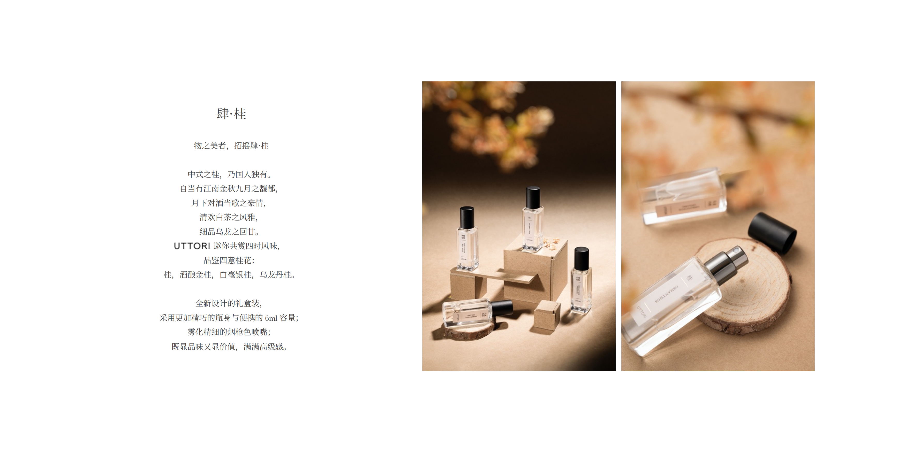 UTTORI 五朵⾥原创艺术⾹⽔品牌.pdf_第6页
