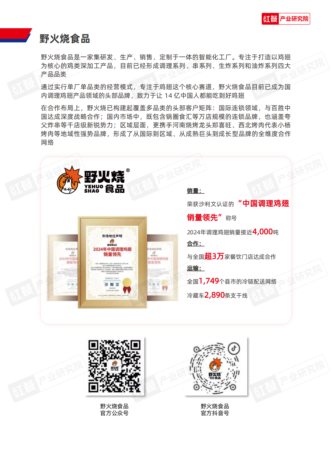 2025餐饮供应链研究报告——野火烧三好鸡翅解决方案-12页.pdf_第9页