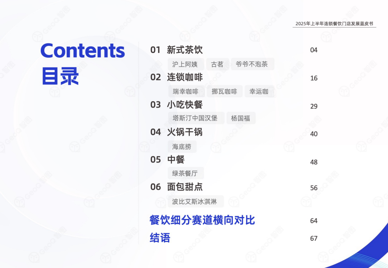 2025年上半年连锁餐饮门店发展蓝皮书-GeoQ智图-69页.pdf_第3页