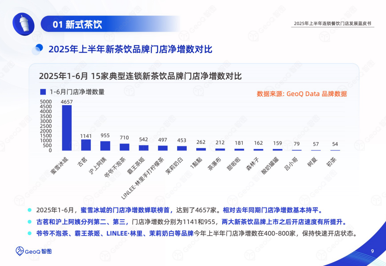 2025年上半年连锁餐饮门店发展蓝皮书-GeoQ智图-69页.pdf_第9页