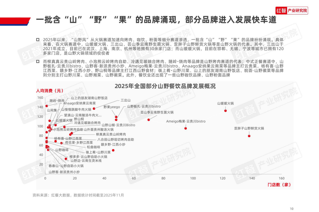 2025山野餐饮研究报告2025-30页.pdf_第10页