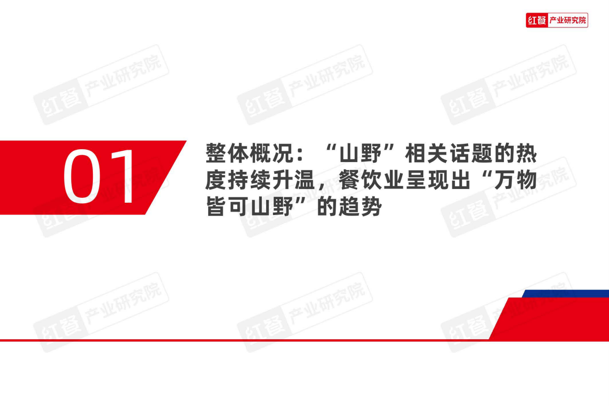2025山野餐饮研究报告2025-30页.pdf_第4页