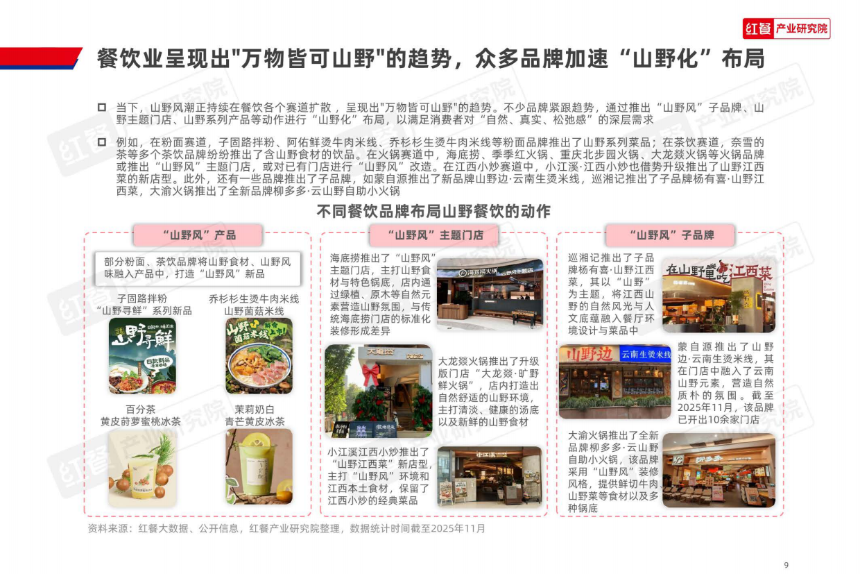2025山野餐饮研究报告2025-30页.pdf_第9页