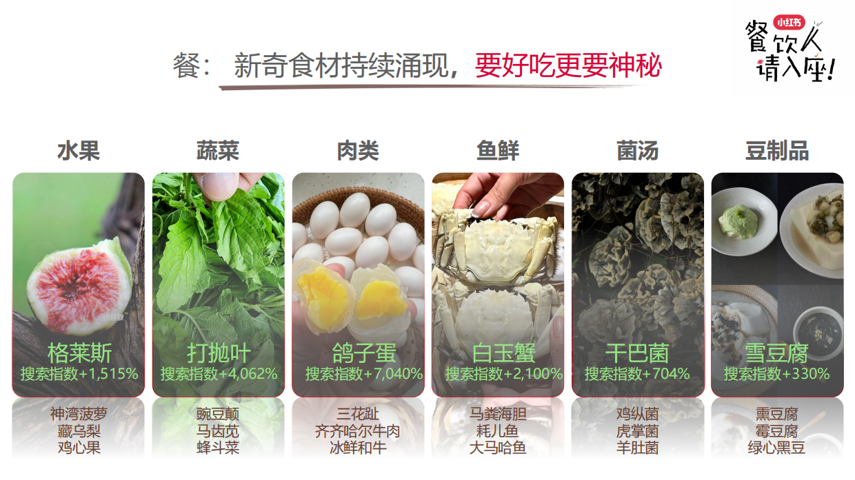 2026小红书餐饮行业多元趋势-26页.pdf_第4页