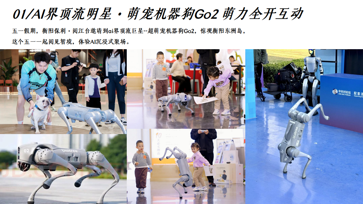 2026阅见智境 AI聚场五一潮聚保利 衡阳首秀 AI机器人嘉年华活动策划案.pdf_第6页