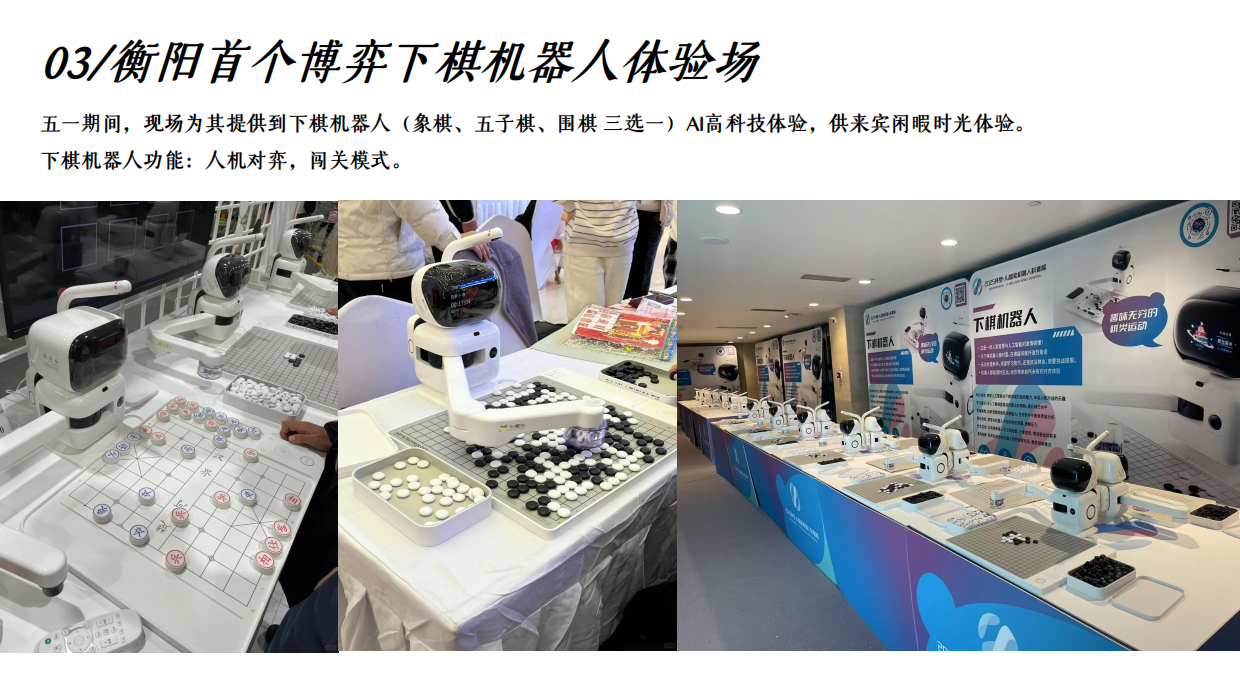 2026阅见智境 AI聚场五一潮聚保利 衡阳首秀 AI机器人嘉年华活动策划案.pdf_第9页
