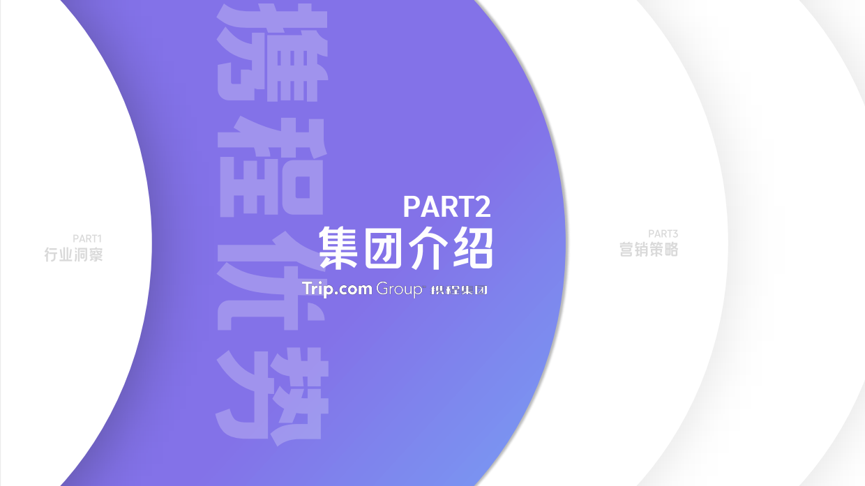携程旅行营销方案.pdf_第7页