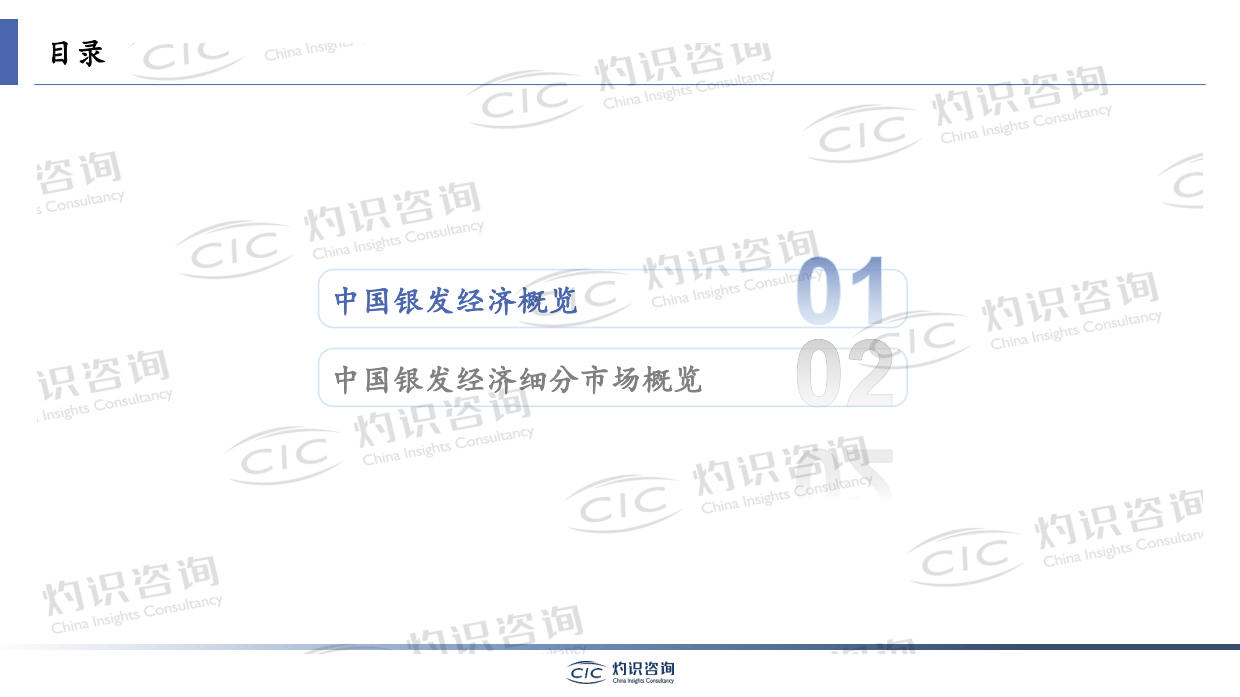 2023银发经济蓝皮书-灼识咨询.pdf_第4页