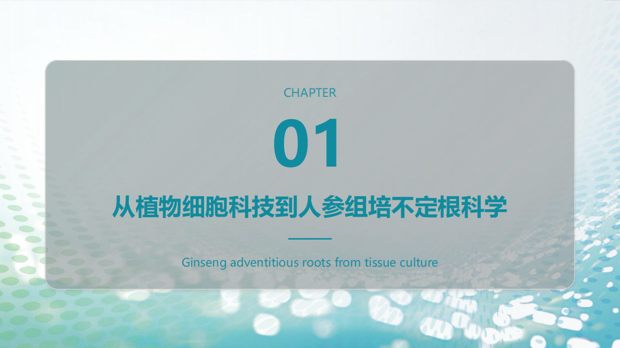 2026中国人参原料创新产业发展报告-FFC功能性食品大会组委会.pdf_第10页