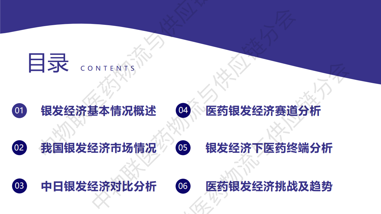 银发经济：医药行业发展新蓝海（2025）.pdf_第2页