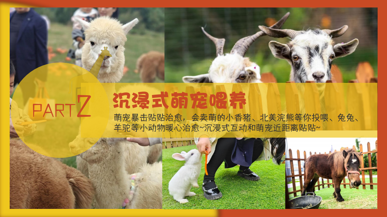 2026六一儿童节膨胀动物嘉年华亲子活动方案.pdf_第8页