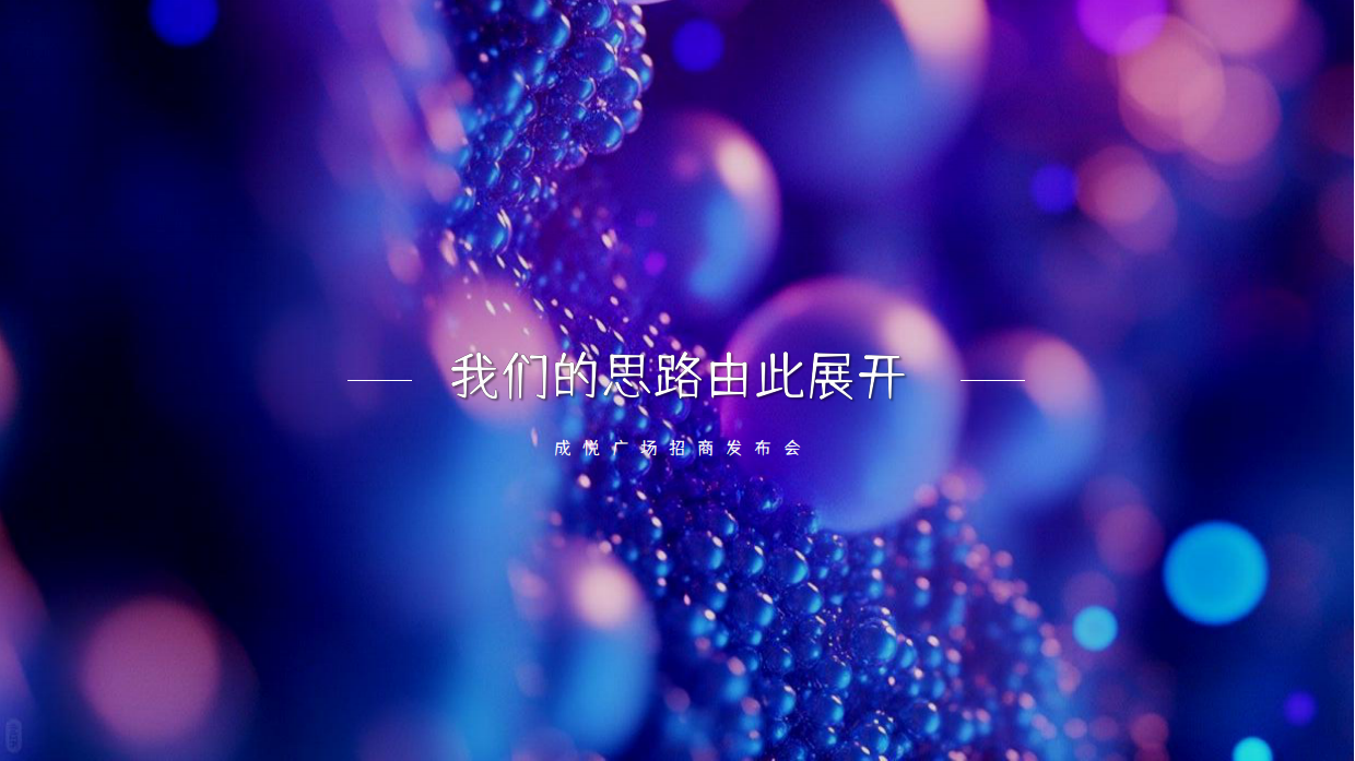 2026商学院校友会换届典礼暨迎新晚会活动方案.pdf_第9页