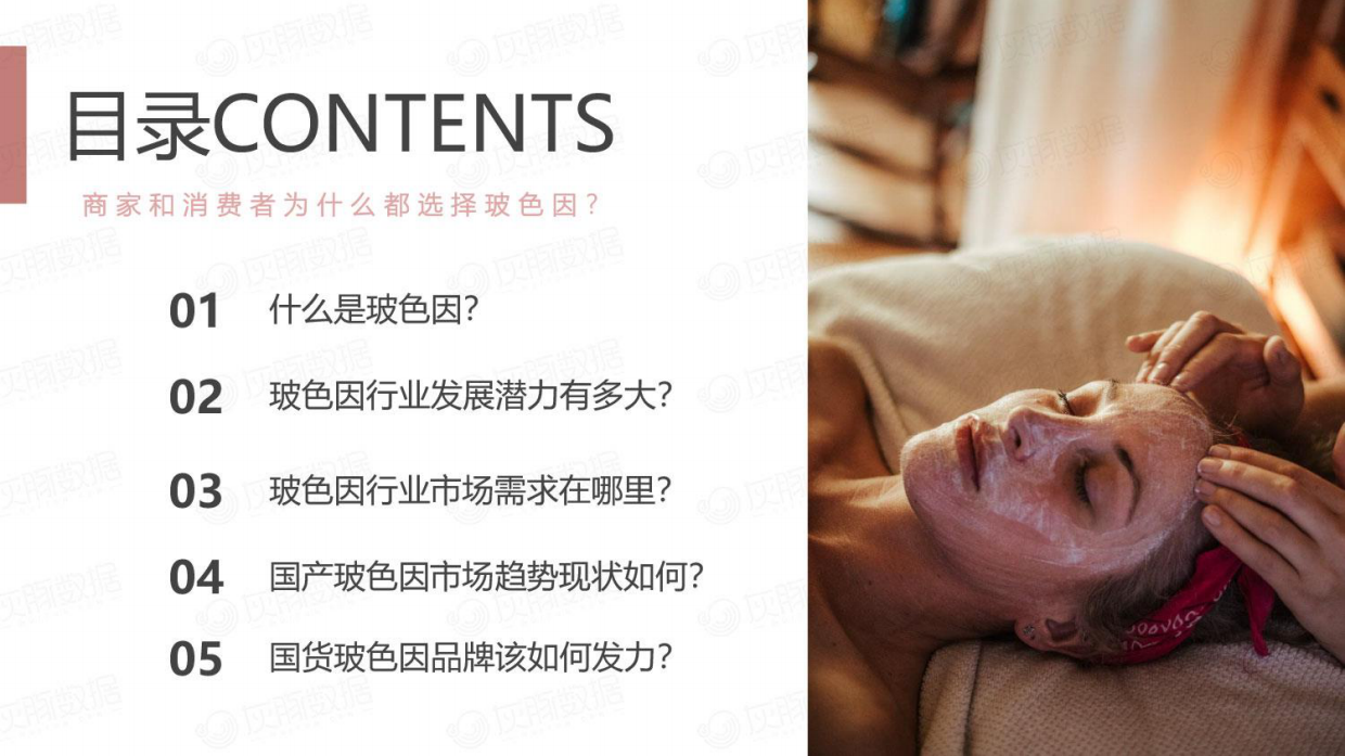 灰豚数据：热门护肤成分-玻色因成分市场潜力解析.pdf_第5页