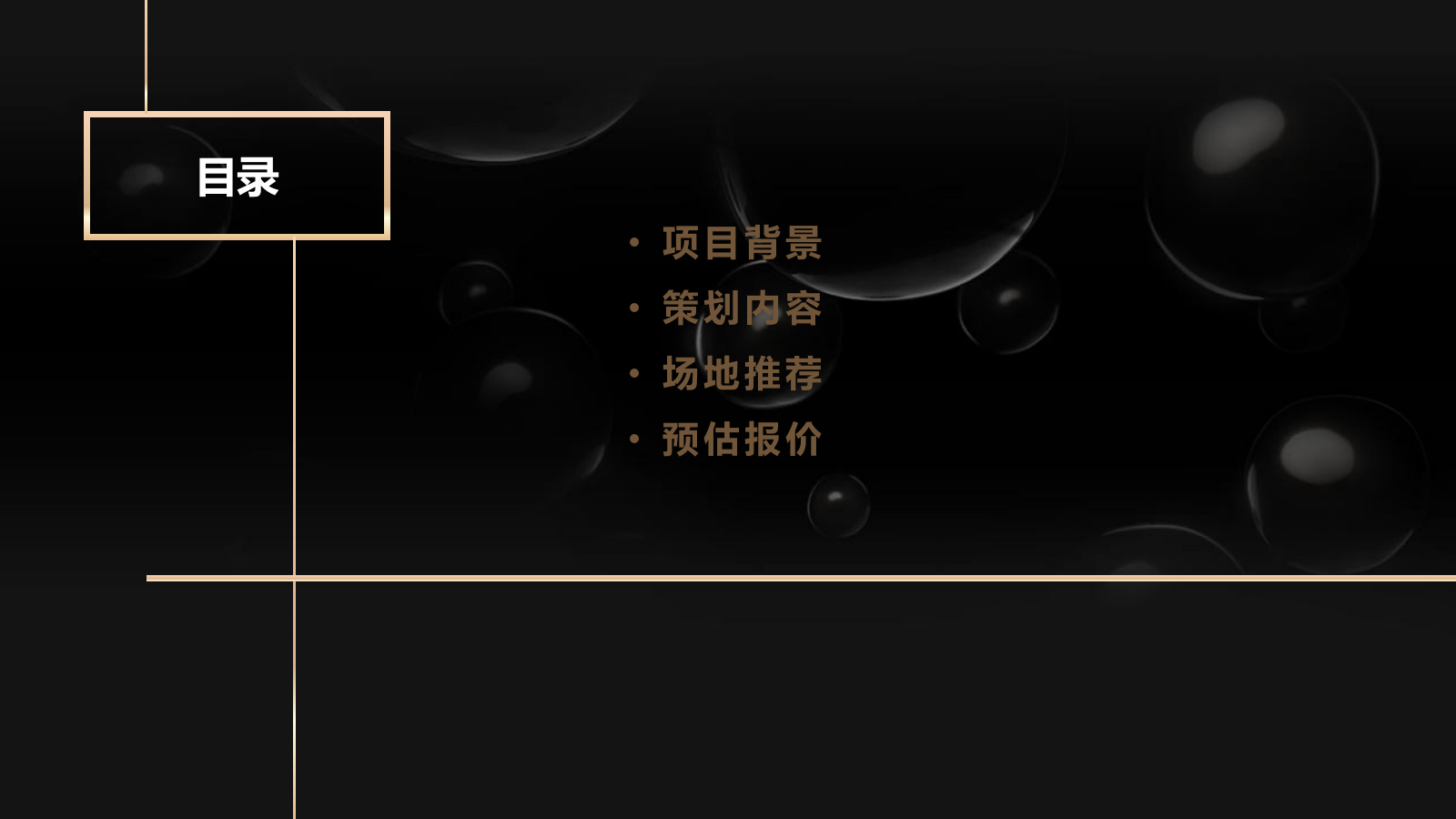卡诗_新品发布会方案.pptx_第2页