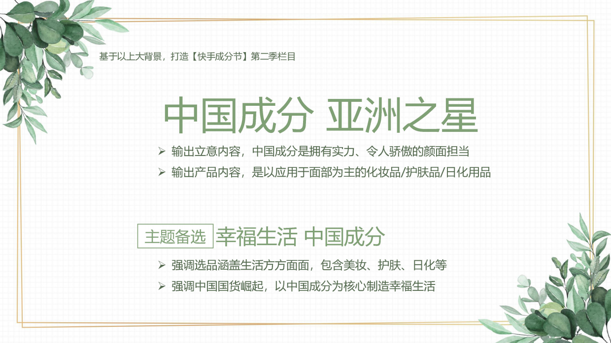 快手中国成分IP第二季招商方案.pdf_第8页