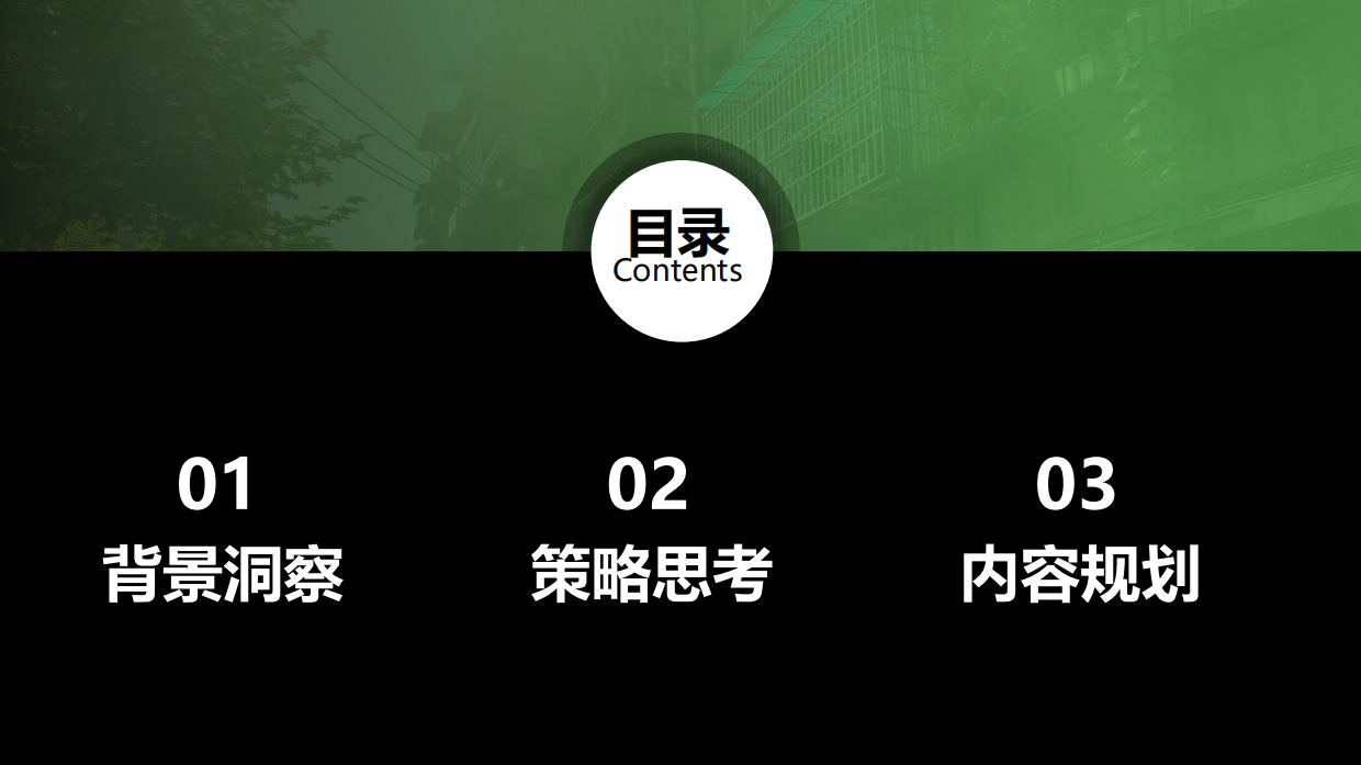 曼秀雷敦男士年度营销策划方案.pdf_第2页